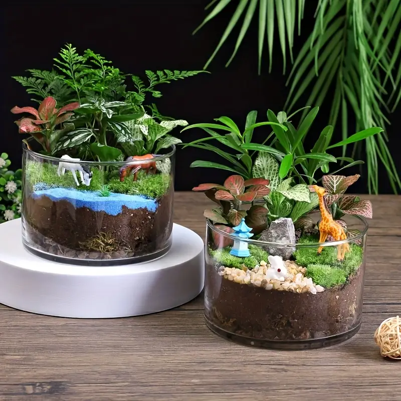 Open Terrarium